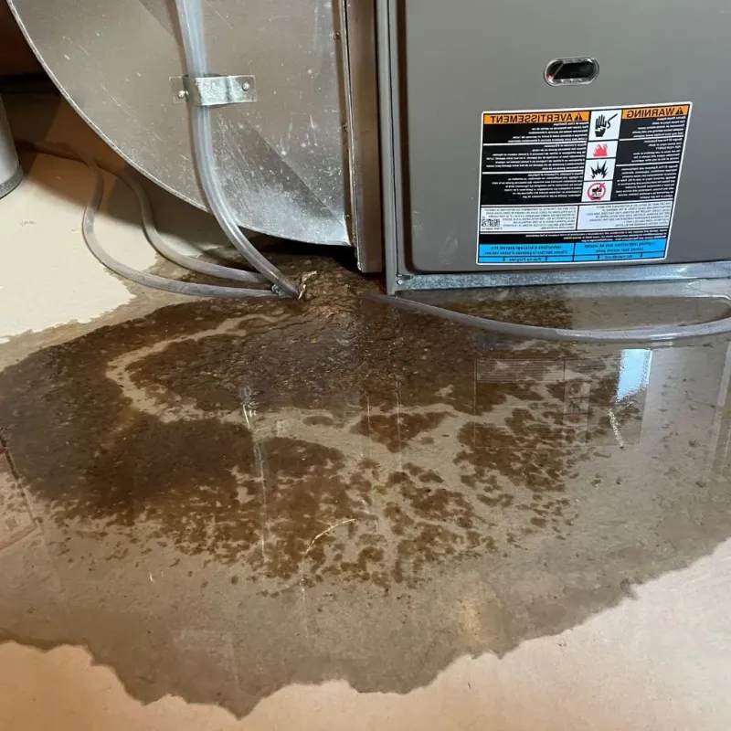 Pipe Burst and Leak Restoration in Fort George G Mead Junction, MD